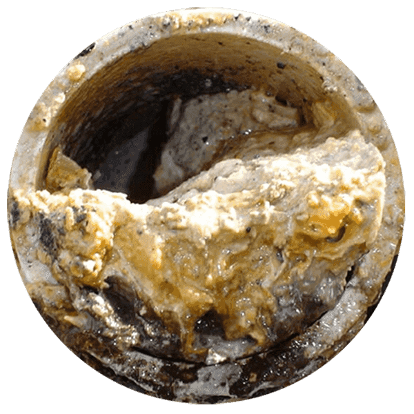 A wide, rocky river flowing through a lush green forest. The water is churning over small drops and stones, creating white foam and ripples under a bright, clear sky.