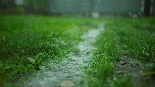 A close-up, ground-level shot of raindrops falling onto lush green grass, creating a small, flowing stream of water through the lawn. The background is softly blurred with a moody, rainy atmosphere.