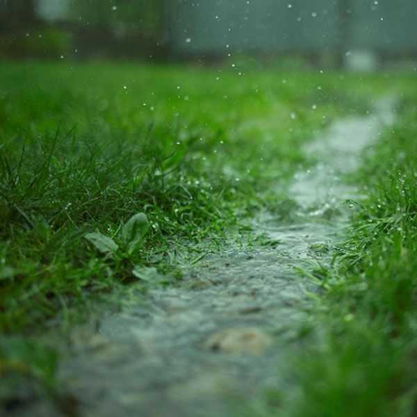 A close-up, ground-level shot of raindrops falling onto lush green grass, creating a small, flowing stream of water through the lawn. The background is softly blurred with a moody, rainy atmosphere.